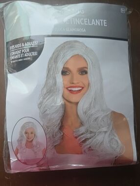 Party City Silver Long Wavy Women's Wig